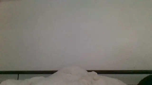 _she_was_a_fairy webcam