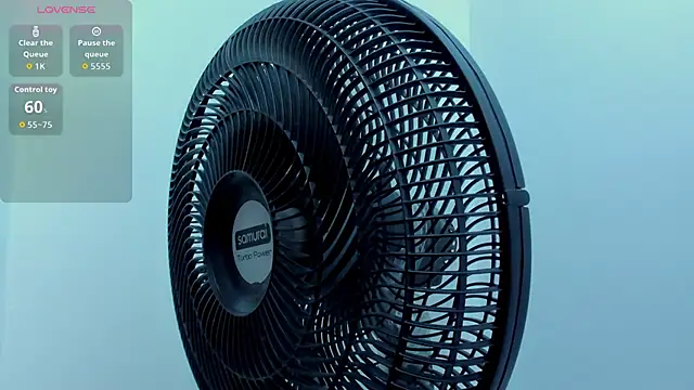 Vittoria_Conti_ webcam