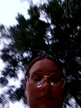 young_dairy01 webcam