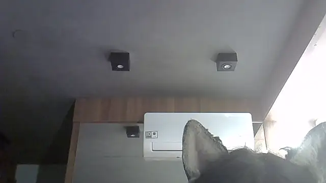 SkinnyKitten webcam