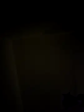 se_x_instruktor webcam