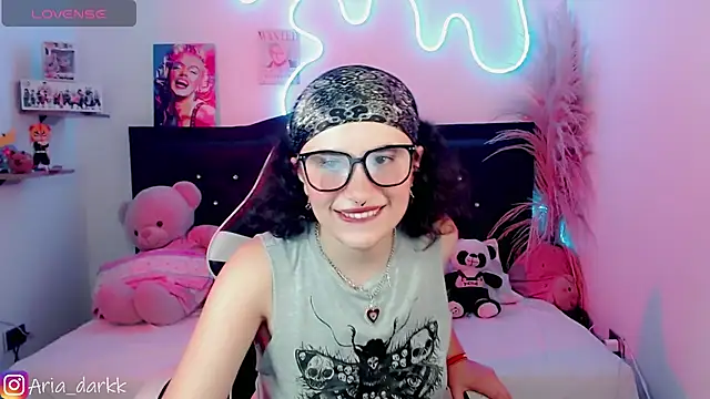 AriaDark webcam