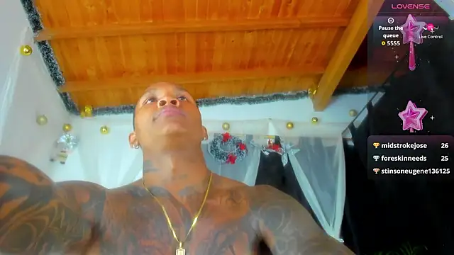 esteveen_ortegas_ webcam