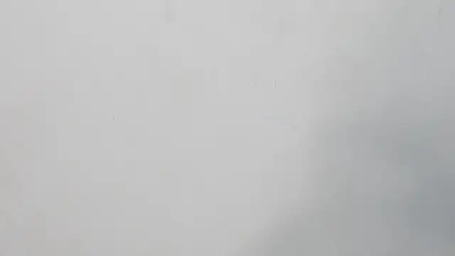 Bailey__bottomboy webcam