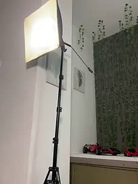 Frank_Farrell webcam