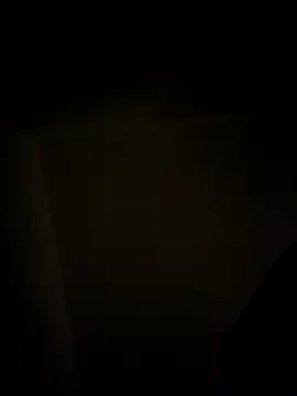 se_x_instruktor webcam