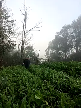 baby_112233 - Baby_112233's free webcam