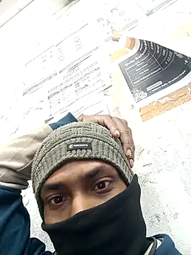 Bengali_BULL1 webcam