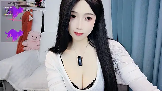 Augenstern_cat webcam