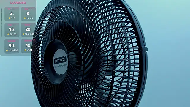 Vittoria_Conti_ webcam