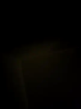 se_x_instruktor webcam