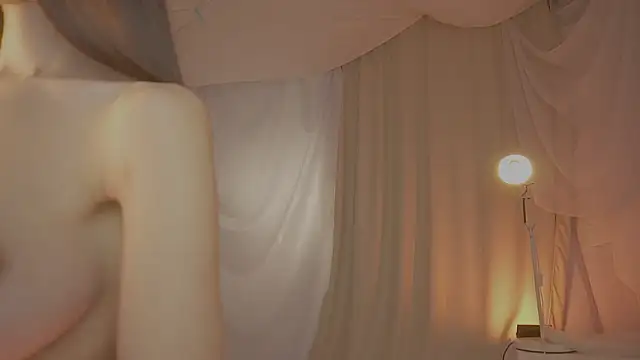 arizonasunrise webcam