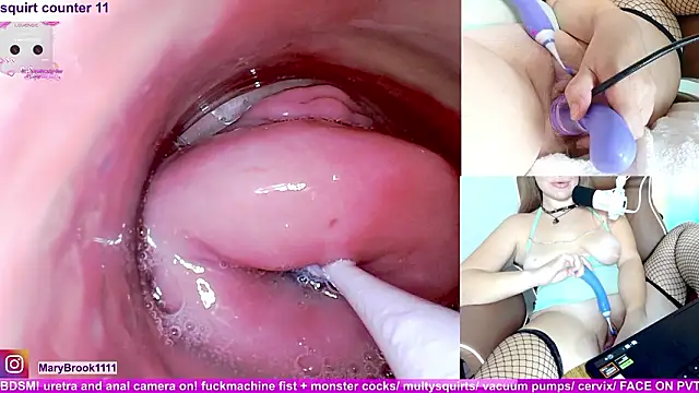 MaryBrook1 livecam screenshot