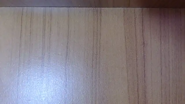 Pamela-StripX webcam