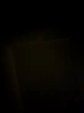 se_x_instruktor webcam