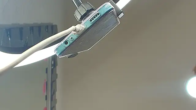 Angell_charlotte webcam