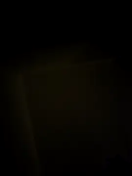 se_x_instruktor webcam