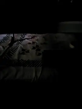 dirtydesidaddy webcam