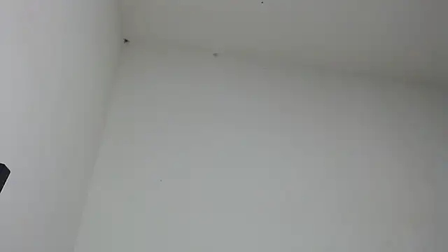 drako_monster webcam