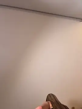 selenne_schmitt webcam