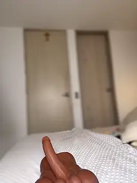 selenne_schmitt webcam