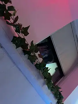 Preview of piratee666