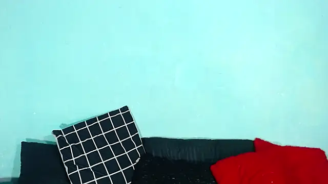 Ariatnaanddilan webcam