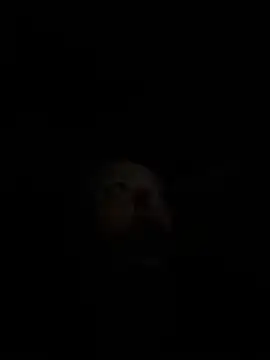 Webcam Model (Titsandtats24)  is live.Free join now!