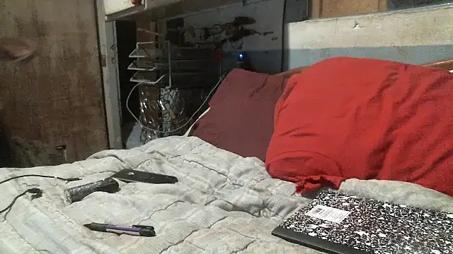 hahard1onestill webcam