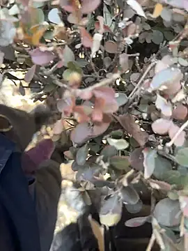 goudanlove - Goudanlove's free webcam