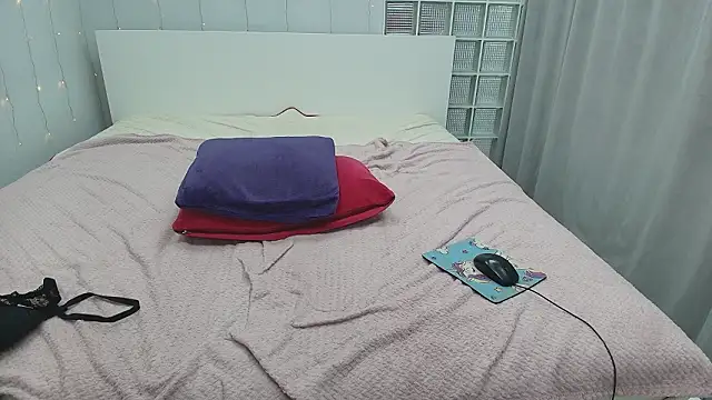 Brightly_Heizer webcam