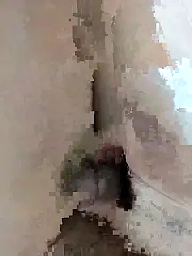 Eduardodj1977 webcam