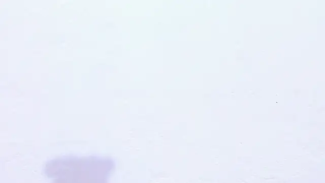 Emely_pregnantt webcam