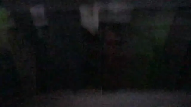 SinlessFreedom7 webcam