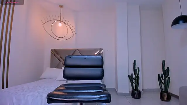 LaurentConnor webcam