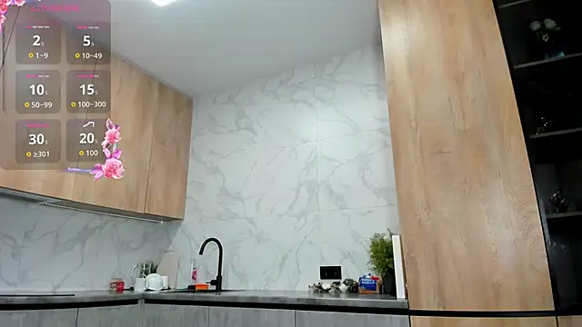 extra_wet_dry webcam