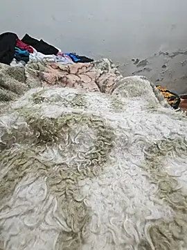 Jumentinhohot webcam