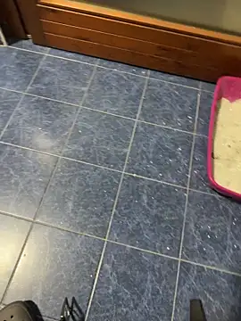 Preview of maialexte