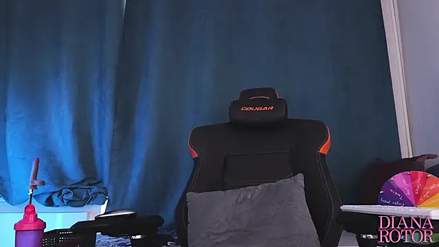 diana_rotor webcam