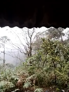 dorothyxx - Dorothyxx's free webcam - UK Sex Cams