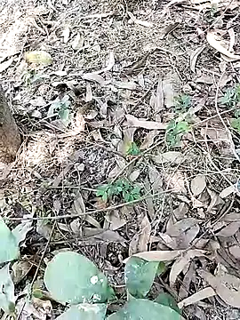 bigdaddyboy46's room