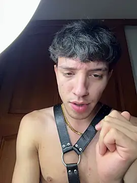 ArthurDavies_ webcam