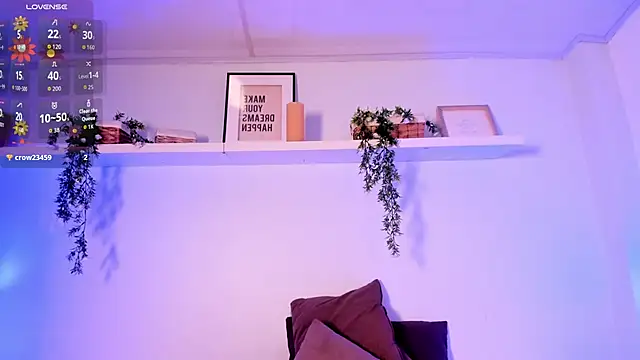 Nicolle_Evanss_ webcam