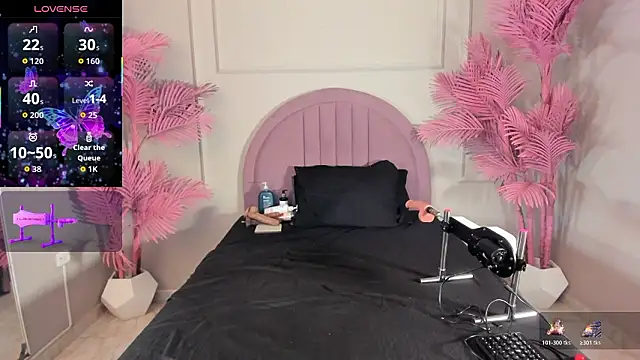 Tamaramilleer webcam