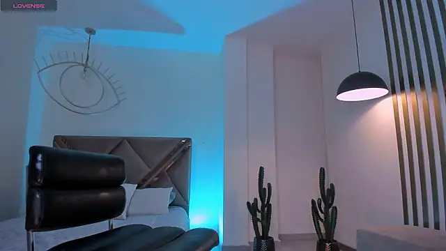 LaurentConnor webcam