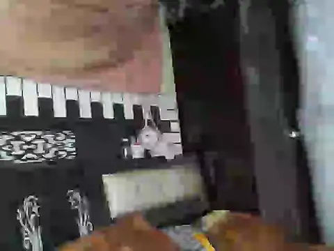 Stubborndesiboy webcam