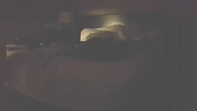 Yankeedave420 webcam