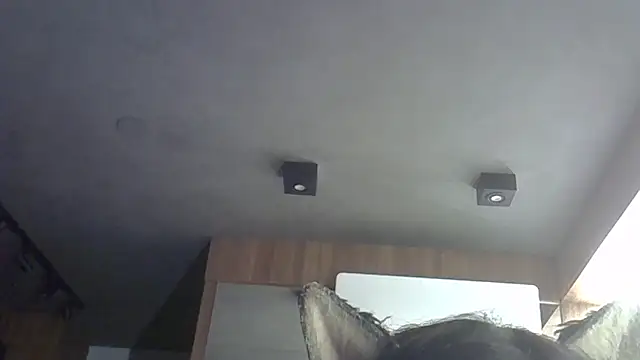SkinnyKitten webcam