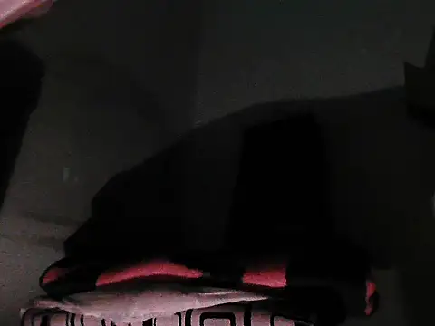 GordoChancludoSLP webcam