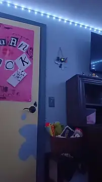 Preview of lordspunfun